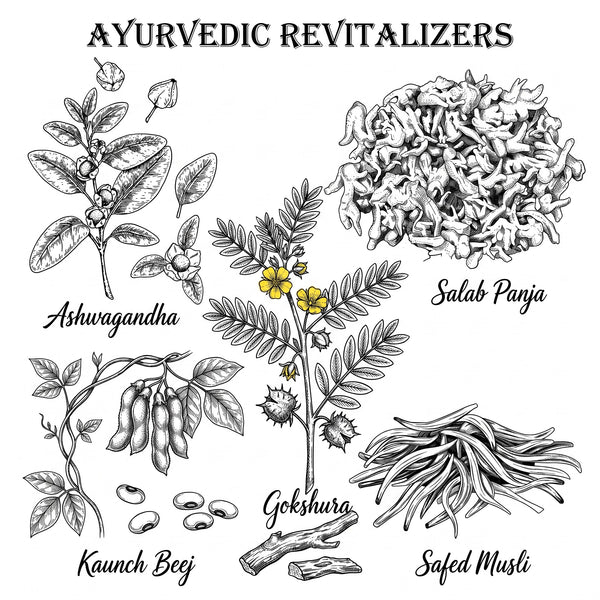 Ayurvedic Herbs